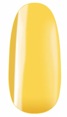 Fő kép